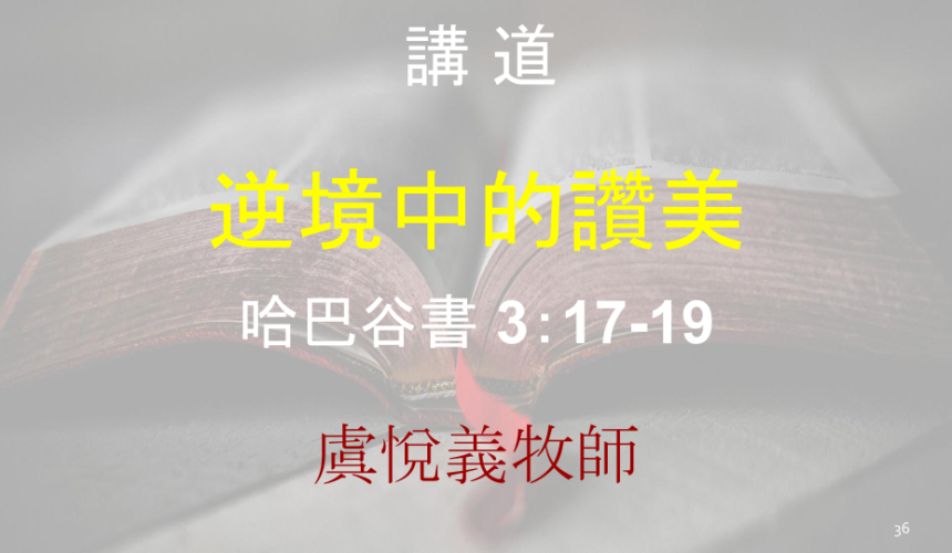 逆境中的讚美