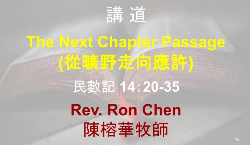The Next Chapter Passage (從曠野走向應許)