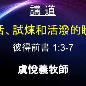 復活、試煉和活潑的盼望