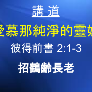 愛慕那純淨的靈奶