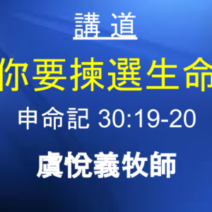 你要揀選生命