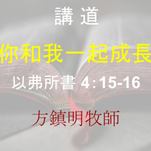 你和我一起成長