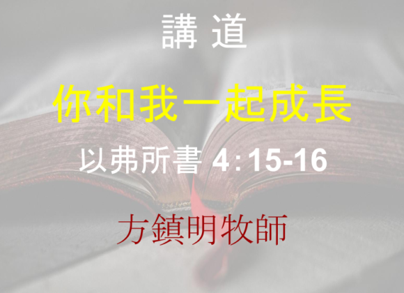 你和我一起成長