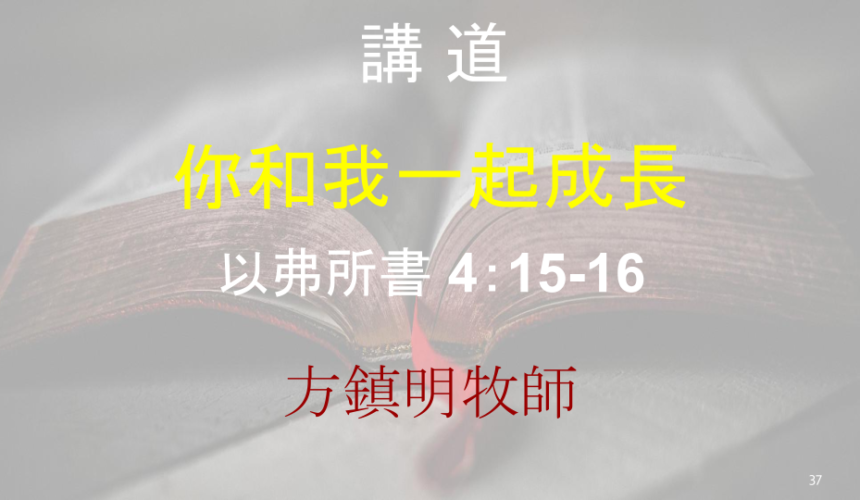 你和我一起成長